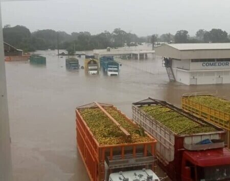 Camioneros de Martínez de la Torre lo perdieron todo