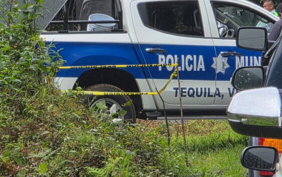 𝑨𝒔𝒆𝒔𝒊𝒏𝒂𝒏 𝒂𝒍 𝒄𝒐𝒎𝒂𝒏𝒅𝒂𝒏𝒕𝒆 𝒅𝒆 𝒍𝒂 𝒑𝒐𝒍𝒊𝒄𝒊́𝒂 𝒎𝒖𝒏𝒊𝒄𝒊𝒑𝒂𝒍 𝒅𝒆 𝑻𝒆𝒒𝒖𝒊𝒍𝒂