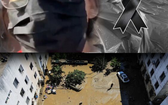 URGENTE: EL PAÍS EXIGE RESPUESTAS SOBRE ESTUDIANTES DESAPARECIDOS EN VERACRUZ