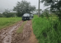 Localizan cadáver en la colonia Palenque de Xalapa