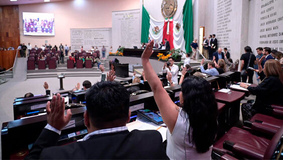 Ley Monse, una realidad