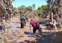 Presumen mil 300 desaparecidos en Poza Rica; El Pulpo Remes y alcaldesa electa bloquean apoyos para entregarlos ellos