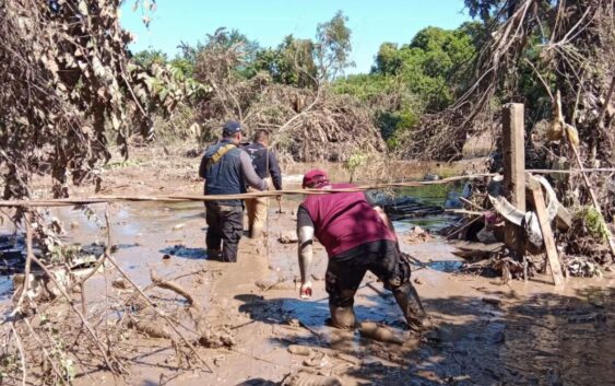 Presumen mil 300 desaparecidos en Poza Rica; El Pulpo Remes y alcaldesa electa bloquean apoyos para entregarlos ellos