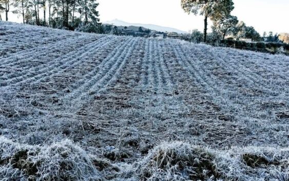 Despliegan operativo en Perote ante bajas temperaturas