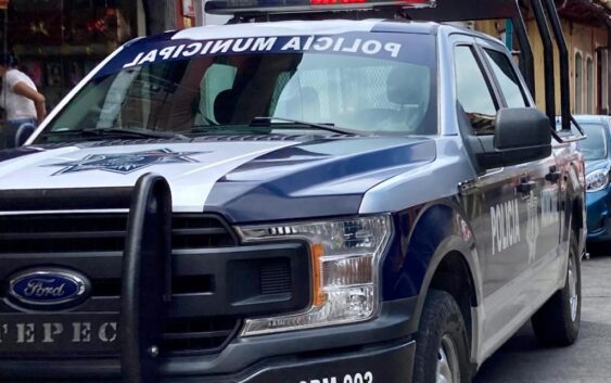 Veracruz, punto estratégico para la trata y reclutamiento infantil: activistas