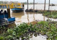 Vuelven a aparecer manchas de aceite y crudo en el río Coatzacoalcos