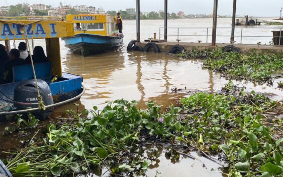 Vuelven a aparecer manchas de aceite y crudo en el río Coatzacoalcos