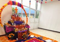 Emite IMSS Veracruz Sur recomendaciones para celebrar Día de Muertos con seguridad y salud