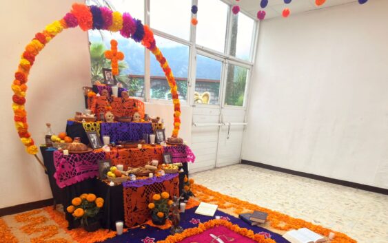 Emite IMSS Veracruz Sur recomendaciones para celebrar Día de Muertos con seguridad y salud