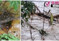 Fuerte olor a hidrocarburos y manchas aceitosas en el río Cazones