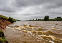 ¡Cuidado! Reportan desbordamiento del río Tecolutla