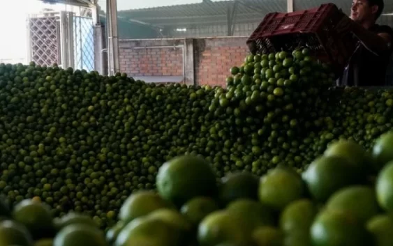 El crimen entronizado en Michoacán… y en el país