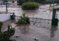 ¡𝐔𝐫𝐠𝐞𝐧𝐭𝐞! 𝐃𝐢ó𝐜𝐞𝐬𝐢𝐬 𝐝𝐞 𝐏𝐚𝐩𝐚𝐧𝐭𝐥𝐚 𝐬𝐨𝐥𝐢𝐜𝐢𝐭𝐚 𝐚𝐩𝐨𝐲𝐨 𝐩𝐚𝐫𝐚 𝐝𝐚𝐦𝐧𝐢𝐟𝐢𝐜𝐚𝐝𝐨𝐬 𝐩𝐨𝐫 𝐭𝐨𝐫𝐦𝐞𝐧𝐭𝐚 𝐭𝐫𝐨𝐩𝐢𝐜𝐚𝐥 𝐆𝐞𝐫𝐫𝐲.