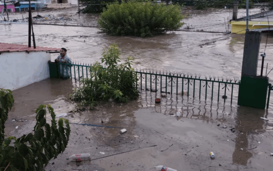 ¡𝐔𝐫𝐠𝐞𝐧𝐭𝐞! 𝐃𝐢ó𝐜𝐞𝐬𝐢𝐬 𝐝𝐞 𝐏𝐚𝐩𝐚𝐧𝐭𝐥𝐚 𝐬𝐨𝐥𝐢𝐜𝐢𝐭𝐚 𝐚𝐩𝐨𝐲𝐨 𝐩𝐚𝐫𝐚 𝐝𝐚𝐦𝐧𝐢𝐟𝐢𝐜𝐚𝐝𝐨𝐬 𝐩𝐨𝐫 𝐭𝐨𝐫𝐦𝐞𝐧𝐭𝐚 𝐭𝐫𝐨𝐩𝐢𝐜𝐚𝐥 𝐆𝐞𝐫𝐫𝐲.