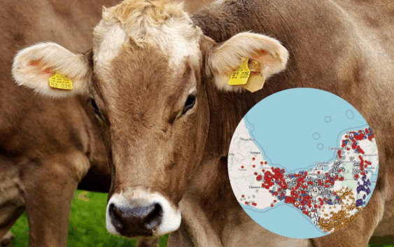 De 1 a 6 mil; así han crecido los casos de gusano barrenador en la frontera sur de México