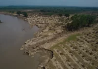 Pemex indemnizará a afectados por la fuga de crudo en Veracruz