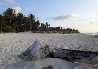 Tulum enfrenta crisis turística: Playas vacías y precios exorbitantes alejan a visitantes