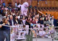 Congreso eleva a rango constitucional la protección a los animales