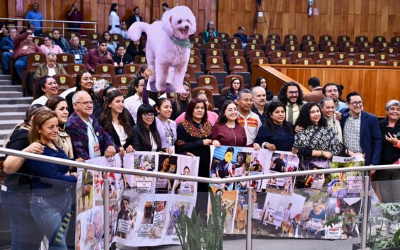 Congreso eleva a rango constitucional la protección a los animales