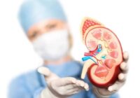 Exhorta IMSS Veracruz Sur a cuidar salud renal