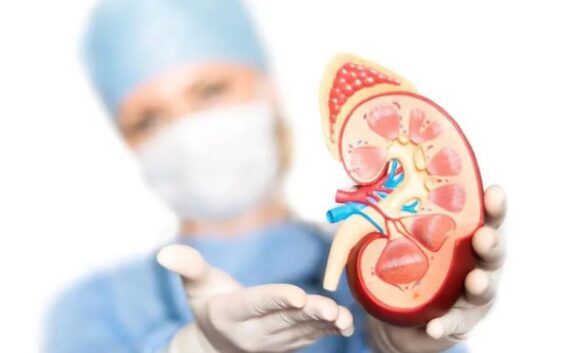 Exhorta IMSS Veracruz Sur a cuidar salud renal