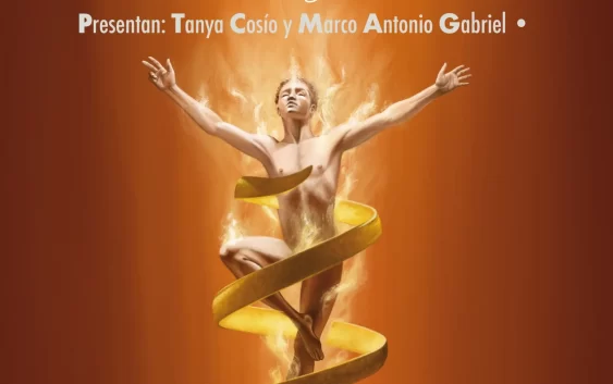 De palo en palo y le ponemos cerca al monte