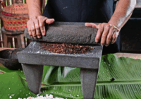 El pozol, una bebida energética y nutritiva el oro mexicano de los probióticos.