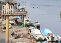 Pescadores veracruzanos advierten colapso económico si se aprueba reforma que impone seguro social