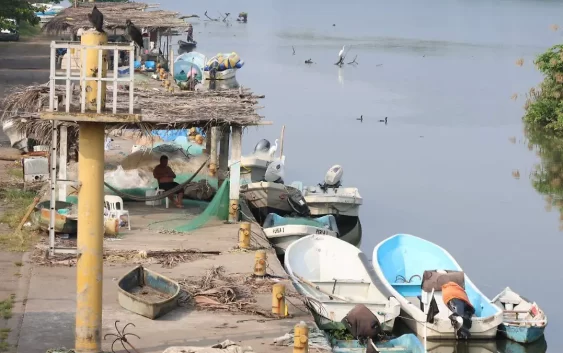 Pescadores veracruzanos advierten colapso económico si se aprueba reforma que impone seguro social