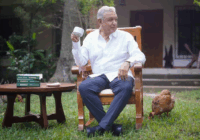 AMLO reaparece en redes y reafirma respaldo a Sheinbaum; “no hay que hacerle sombra a nuestra Presidenta”