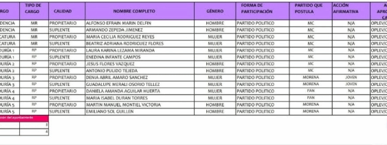 Filtran el posible cabildo que encabezaría ‘Piccolo’ en Fortín