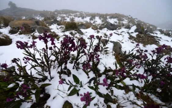 Piden hacer caso a las recomendaciones; se extravió una persona en el Cofre de Perote