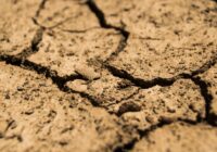 2025 perfila entre los años más secos para Veracruz