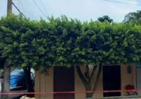 Localizan a un masculino sin vida dentro de su domicilio en Texistepec