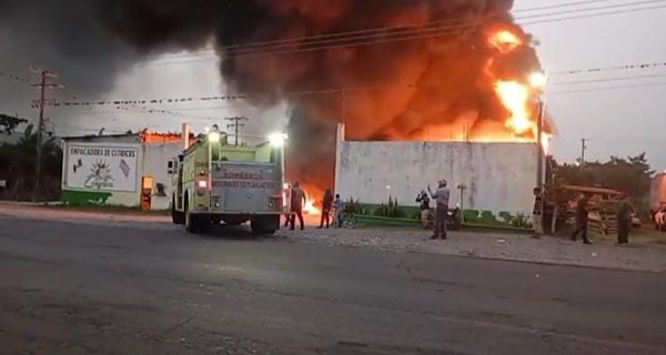 Primeros reportes sobre el incendio de una empacadora de limones en Cuitláhuac