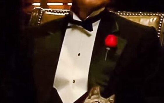 El famoso gato que acaricia Vito Corleone en El Padrino no estaba planeado en el guion