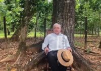 El activismo de AMLO