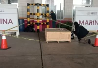 Descubren cargamento de droga psicodélica en recinto portuario de Veracruz; iba rumbo al extranjero