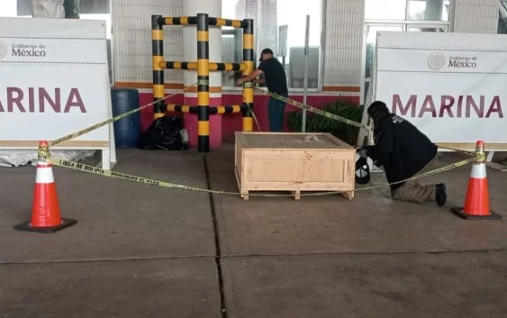 Descubren cargamento de droga psicodélica en recinto portuario de Veracruz; iba rumbo al extranjero