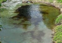 Por fugas de hidrocarburo en colonia Totolapa de Tihuatlán, la salud de sus habitantes corre riesgo Por fugas de hidrocarburo en colonia Totolapa de Tihuatlán, la salud de sus habitantes corre riesgo