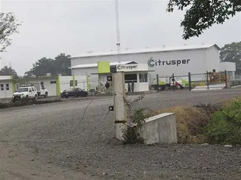 Trabajadores iniciarían huelga en juguera Citrusper de Martínez de la Torre, Veracruz