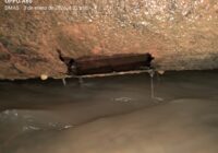 Falla en línea de conducción deja sin agua a un sector de la colonia Deportiva