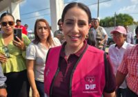 Presidenta del DIF Coatzacoalcos arranca trabajo con visitas a centros asistenciales y atención directa a población vulnerable, además de la celebración del día del niño en Villa Allende.