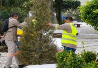 Se suma Coatzacoalcos a la campaña “Eco Navidad, no lo abandones, recíclalo”