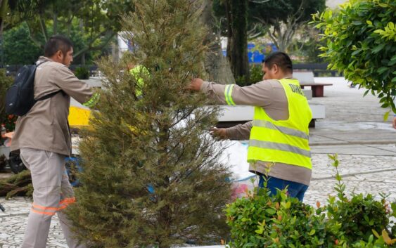 Se suma Coatzacoalcos a la campaña “Eco Navidad, no lo abandones, recíclalo”