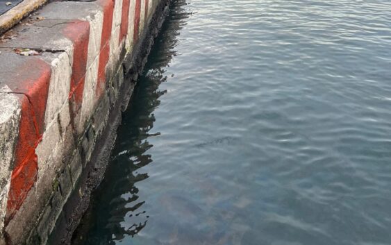 Atiende Ayuntamiento de Veracruz reporte por derrame en zona portuaria