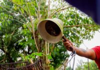 Atención prioritaria a reportes de iluminación: Gobierno de Minatitlán