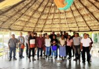 Ayuntamiento de Coatzacoalcos impulsa producción de maíz con apoyo estatal