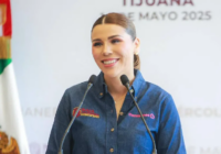 Presidenta del SNA pide a Marina del Pilar solicitar licencia ante acusaciones contra su ex esposo