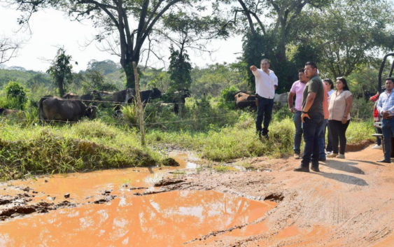 Inicia rehabilitación en caminos rurales de Sayula de Alemán: José Manuel Muñoz Murrieta